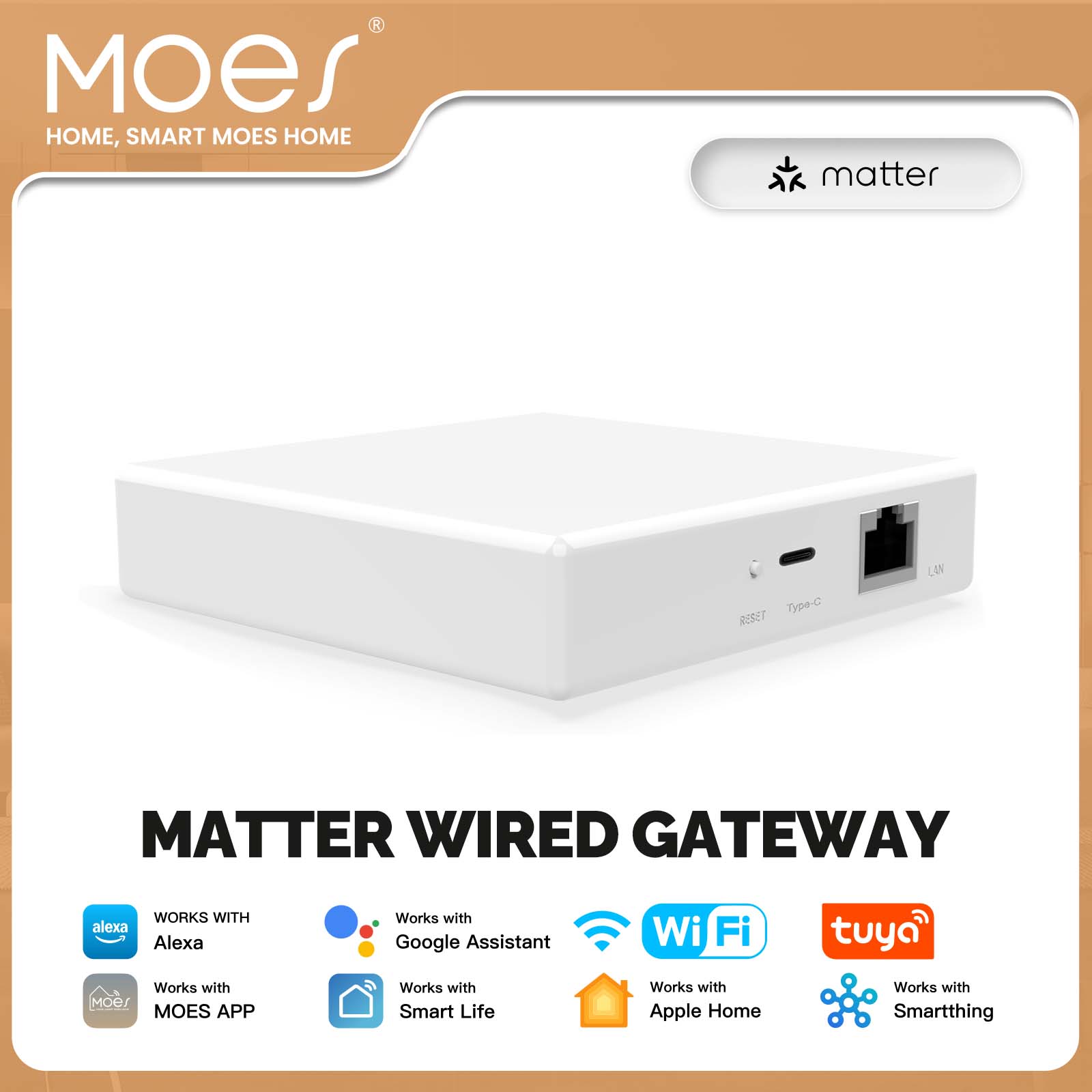 Smart Home Voice Assistant - MOES Tuya ZigBee Matter Thread Gateway