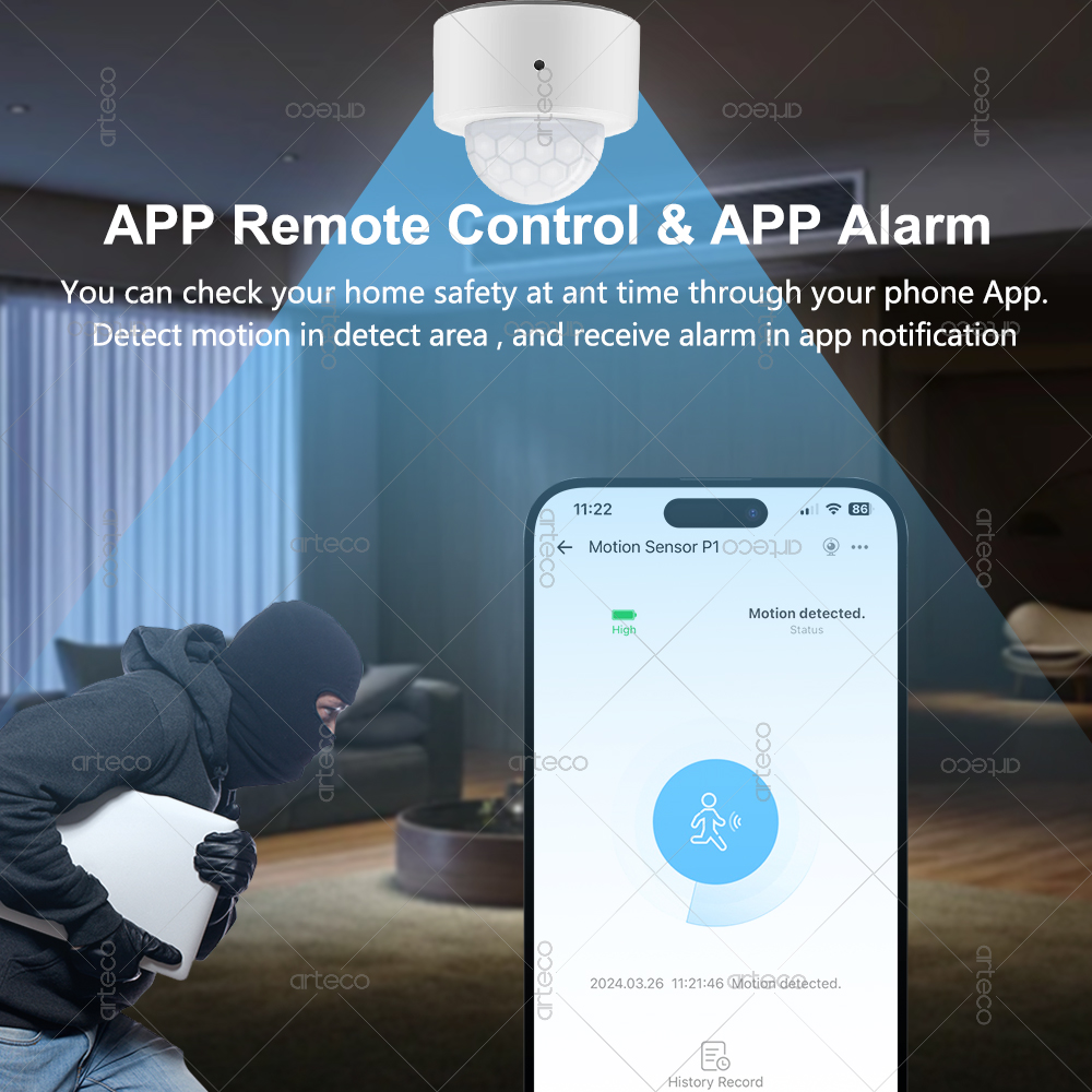 Ewelink Zigbee czujnik ruchu P – Zigbee Motion Sensor recenzja i cena