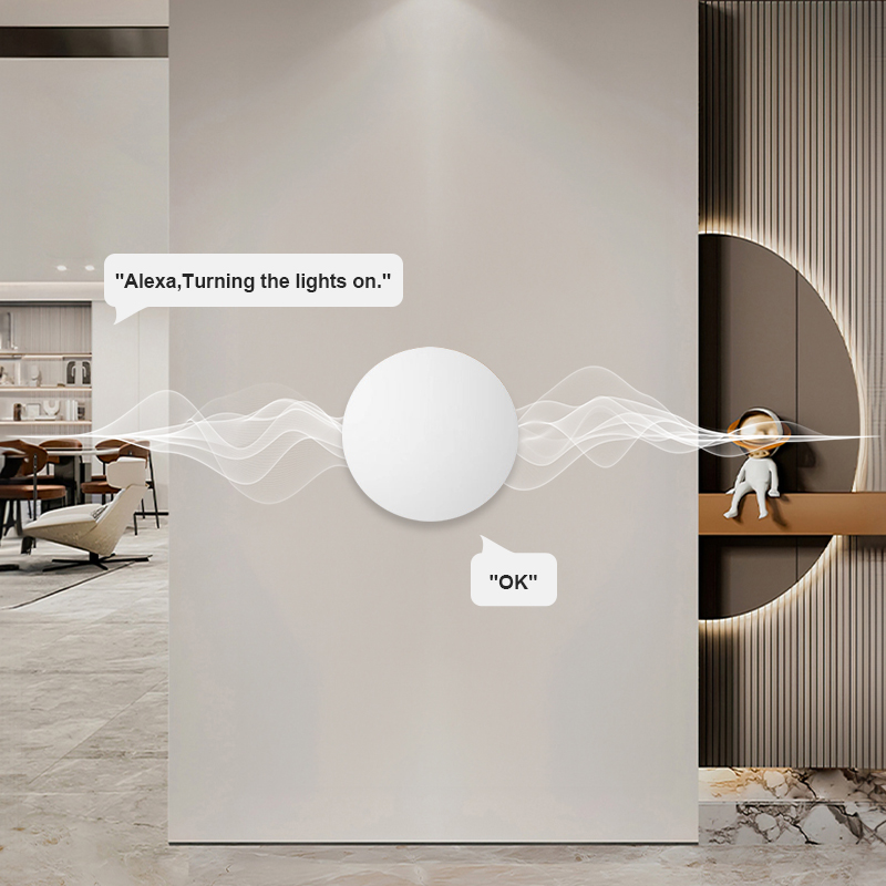 Inteligentny bezprzewodowy prz – Smart Home Voice Assistant recenzja i cena